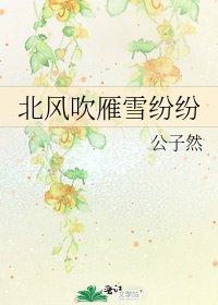 《北風吹雁雪紛紛》