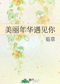 《美麗年華遇見你》