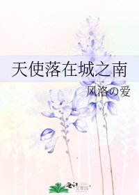 《天使落在城之南》