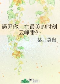 《遇見你,在最美的時刻雲崢番外》