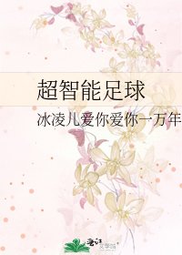 《超智能足球》