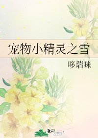 《寵物小精靈之雪》