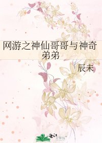 《網遊之神仙哥哥與神奇弟弟》
