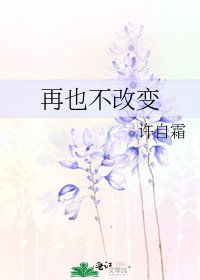 《再也不改變》