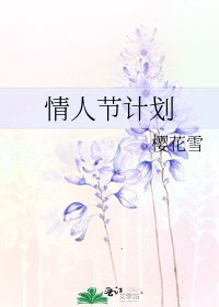《情人節計劃》
