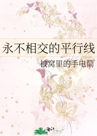 《永不相交的平行線》