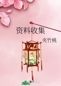 《資料收集》