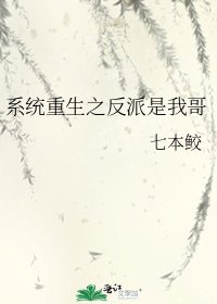 《系統重生之反派是我哥》