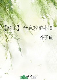 《【網王】全息攻略村哥》