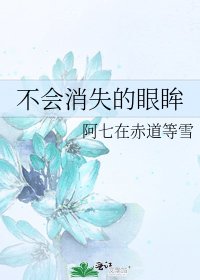 《不會消失的眼眸》