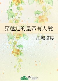 《穿越過的皇帝有人愛》