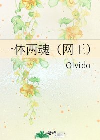 《一體兩魂(網王)》