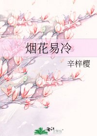 《煙花易冷》