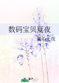 《數碼寶貝夏夜》