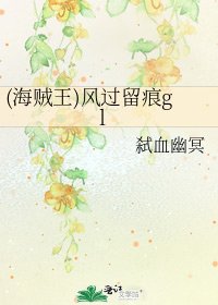 《(海賊王)風過留痕gl》