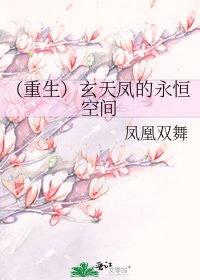 《(重生)玄天鳳的永恆空間》
