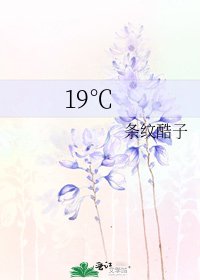 《19℃》