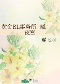 《黃金BL事務所--曦夜宮》