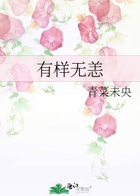 《有样无恙》