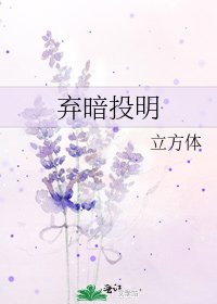 《棄暗投明》