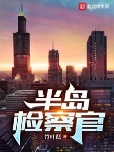 《半島檢察官》