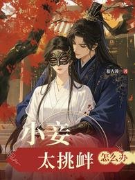 《小妾太挑釁怎麼辦》