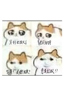 《(獵人同人)穿成蟲族文嚮導》