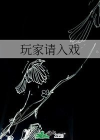 《玩家请入戏》