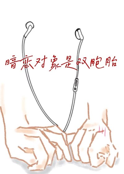 《暗戀對象是雙胞胎》