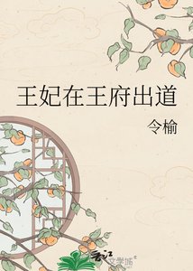 《王妃在王府出道》