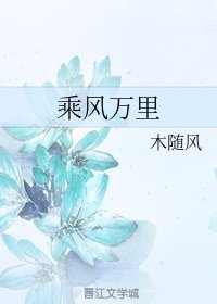 《乘風萬里》