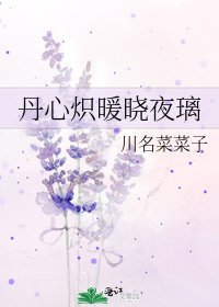 《丹心熾暖曉夜璃》