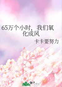 《65萬個小時,我們氧化成風》