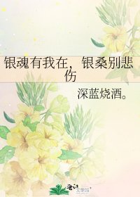 《銀魂有我在,銀桑別悲傷》