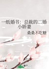 《一紙婚書:總裁的二婚小嬌妻》