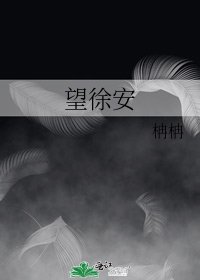 《望徐安》