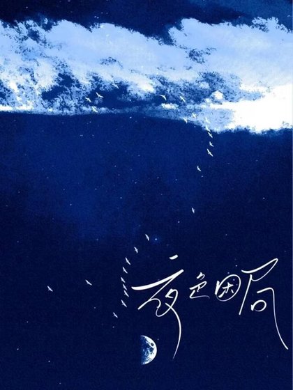 《夜色困局》