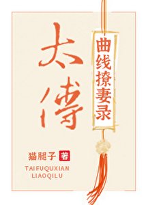 《太傅曲線撩妻錄》
