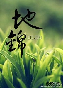 《(盜墓同人)《地錦》