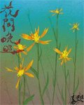 《花間晚照》