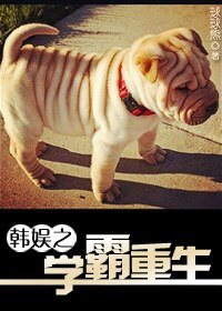 《(BG/韓娛同人)韓娛之學霸重生》
