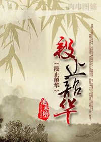 《段止韶華》